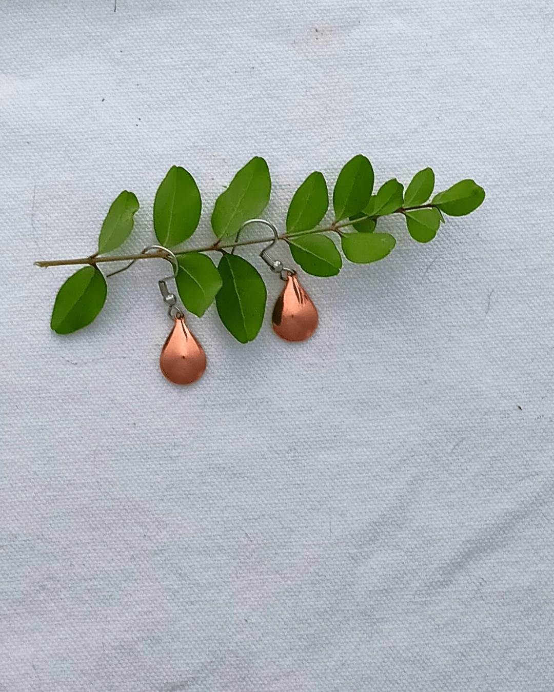 Copper teardrop earrings on a green branch (4_2a3f188a)