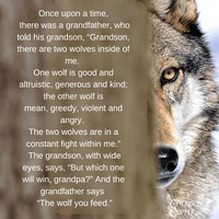 Quote & Wolf Image