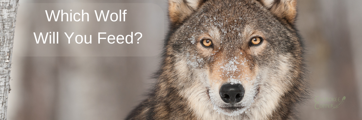 The Wolf You Feed - Which Wolf Will You Feed?