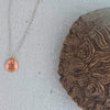 Necklace with turtle pendant next to turtle shell.