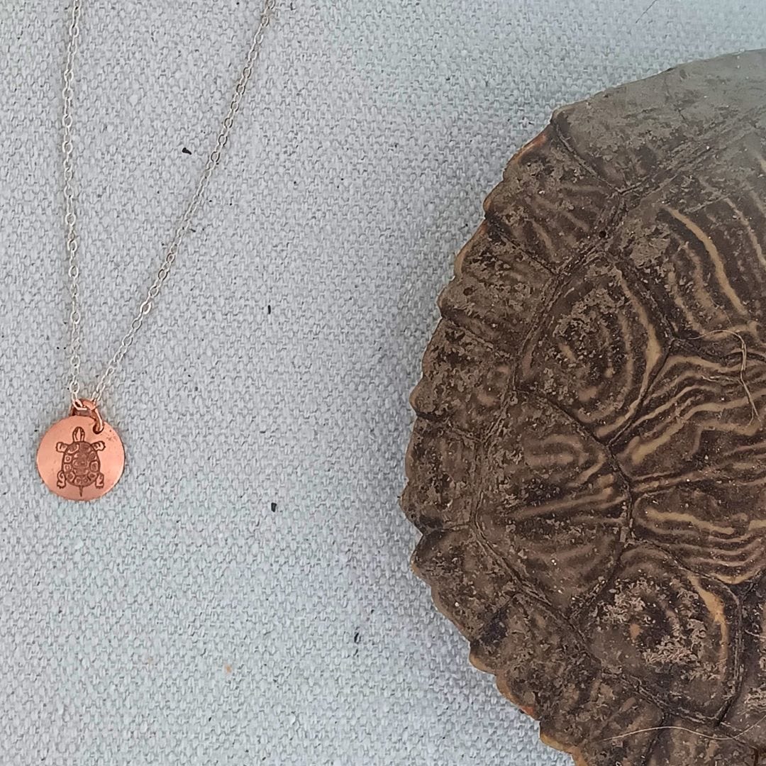 Necklace with turtle pendant next to turtle shell.